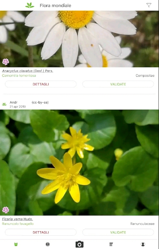 plantNet