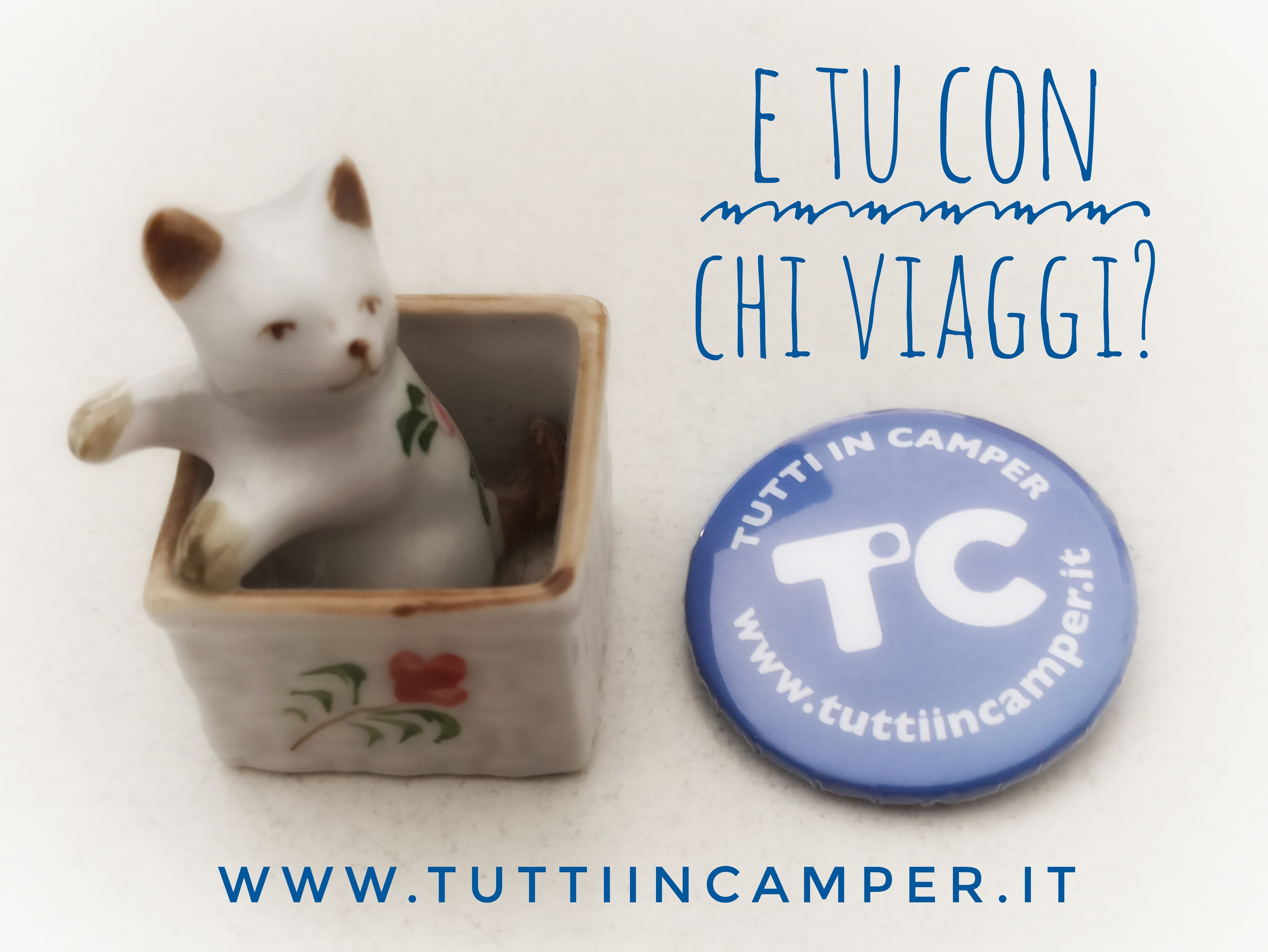 tic-gatto